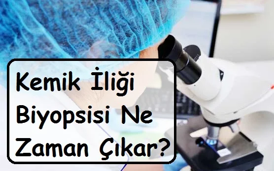 Kemik İliği Biyopsisi Ne Zaman Çıkar