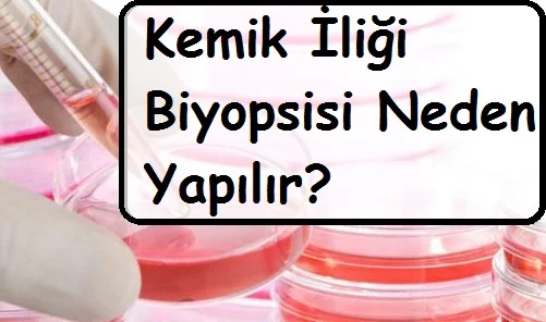Kemik İliği Biyopsisi Neden Yapılır