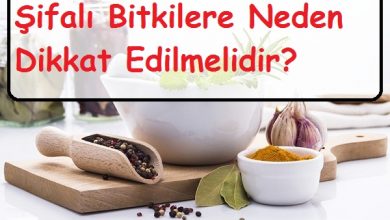 şifalı bitkilere neden dikkat edilmelidir